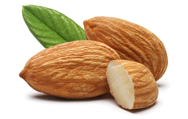 andalucia nuts - almonds-leaf_trasp