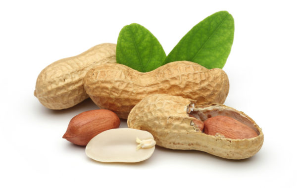 andalucia nuts - peanuts - leaf