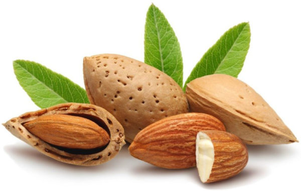 andalucia-nuts-almonds-leaf2