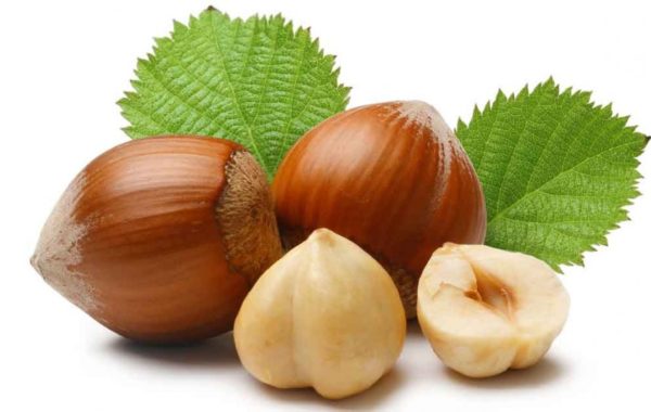 andalucia-nuts-hazelnuts-leaf
