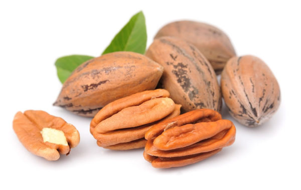 andalucia-nuts-pecans-leaf